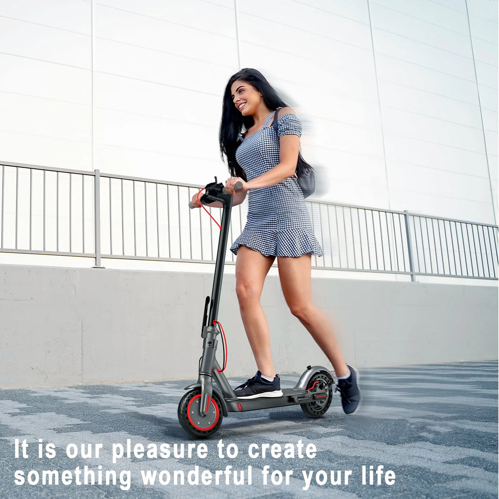 350W Foldable Electric Scooter E5134
