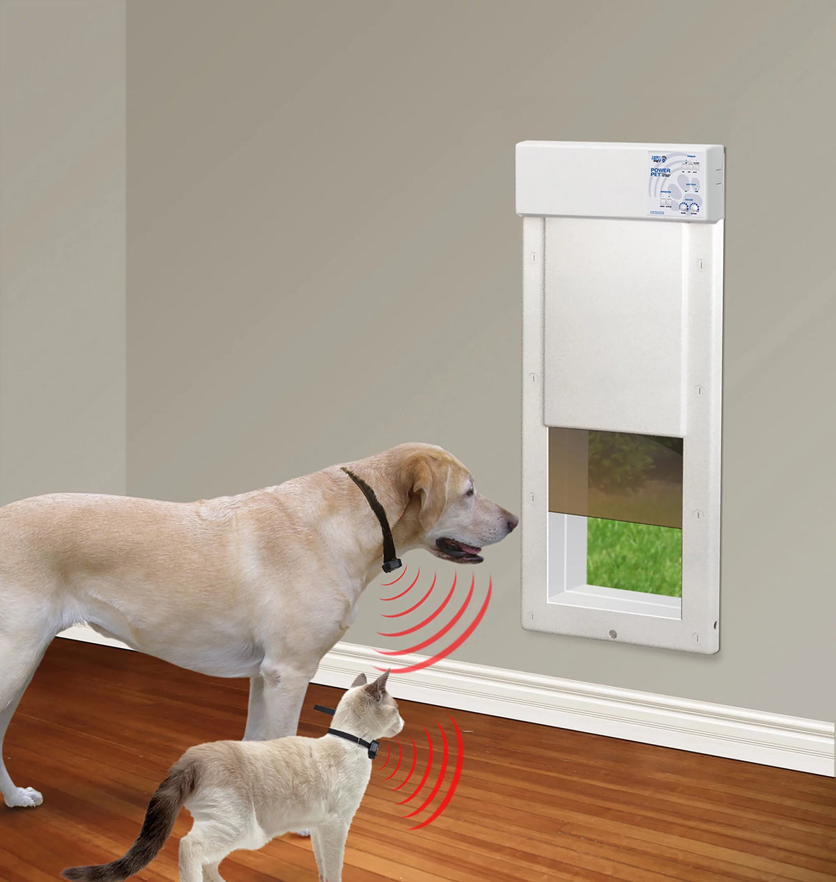 Large Opening Power Pet Door Q609453