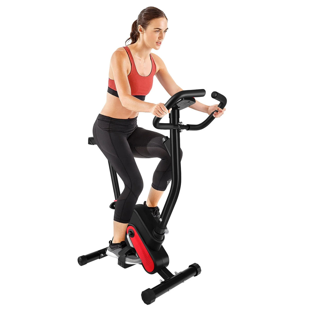 Indoor Cycling Bike V791